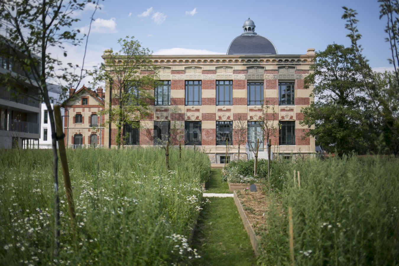Le Château et son jardin
