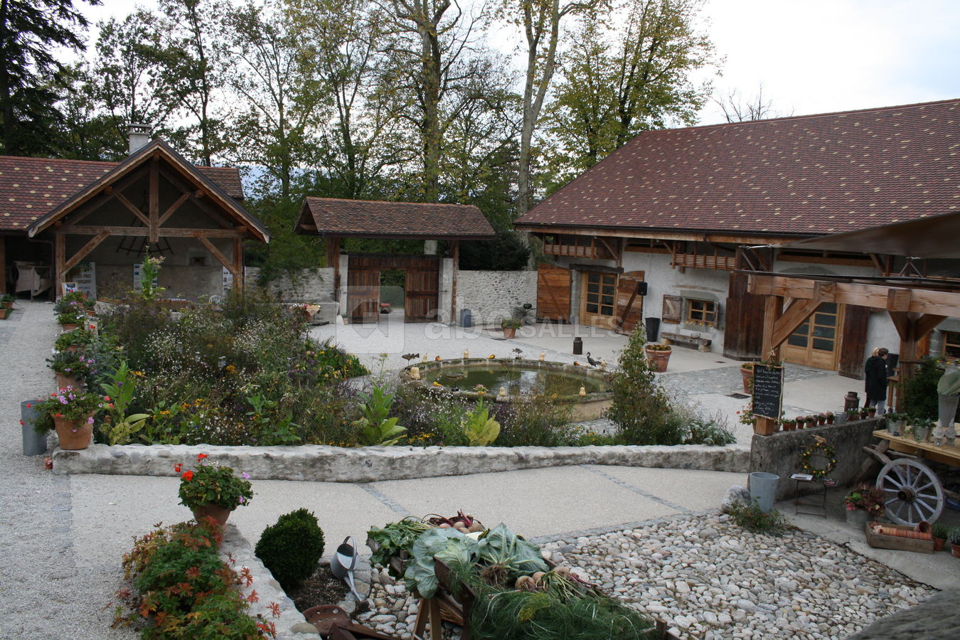 La cour-jardin