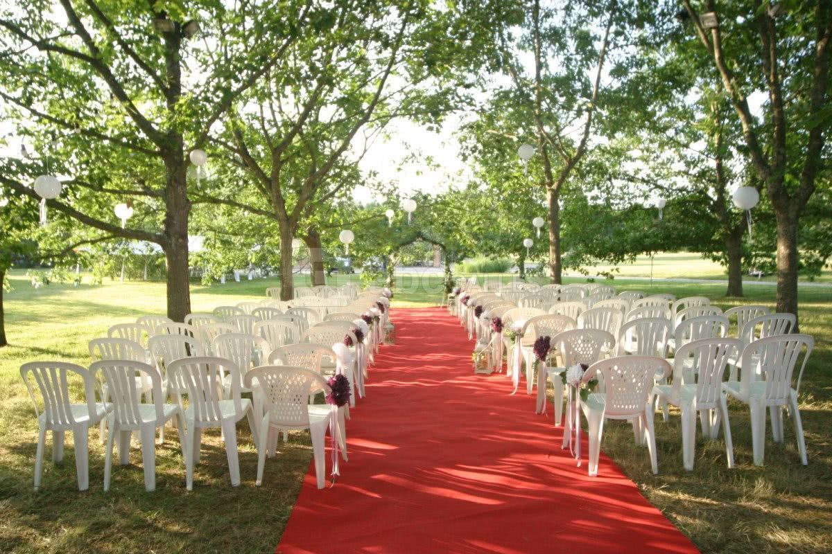 Cérémonie sous les chênes rouges d'Amérique
