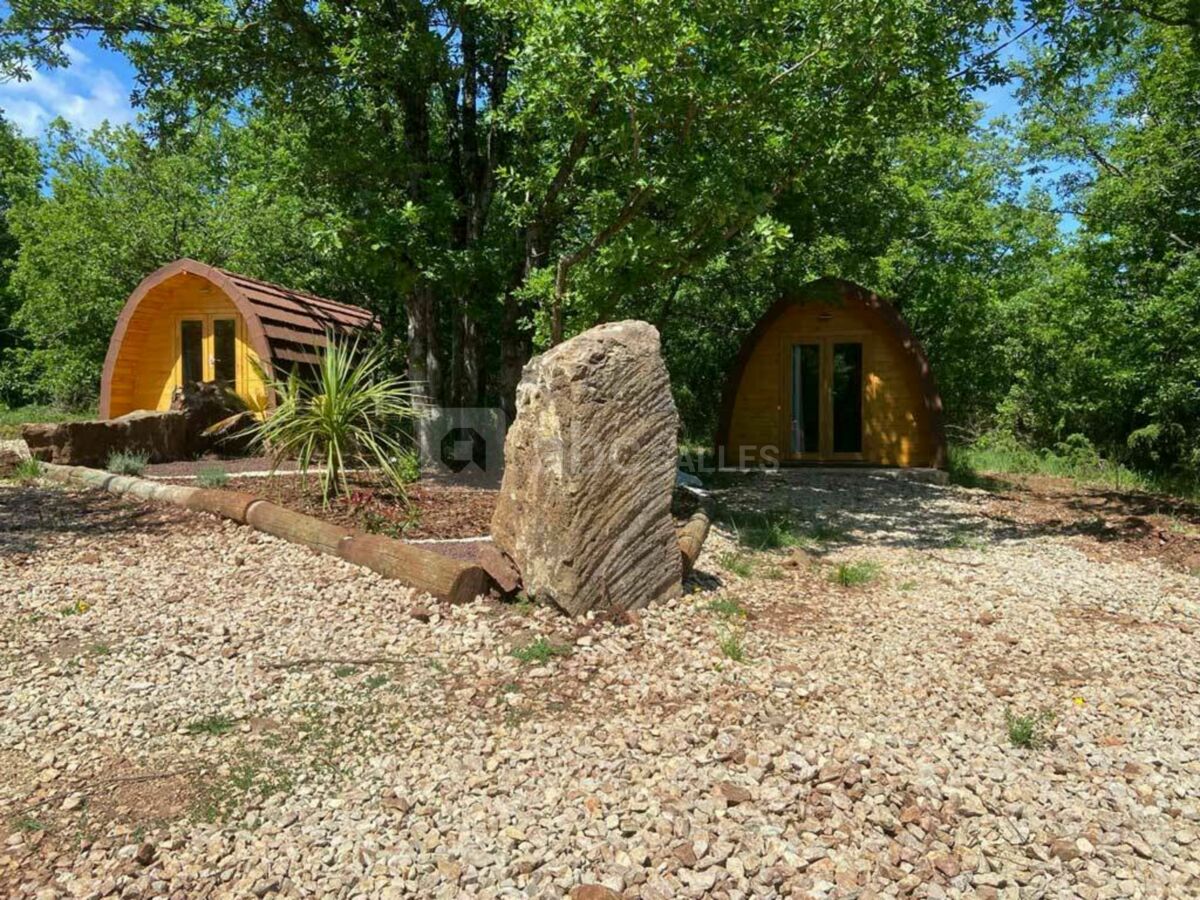 Domaine Parc des Bouscaillous