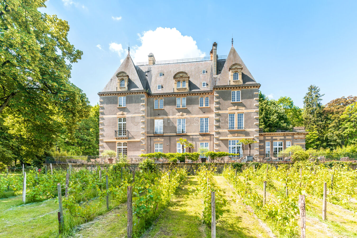 Ô Château