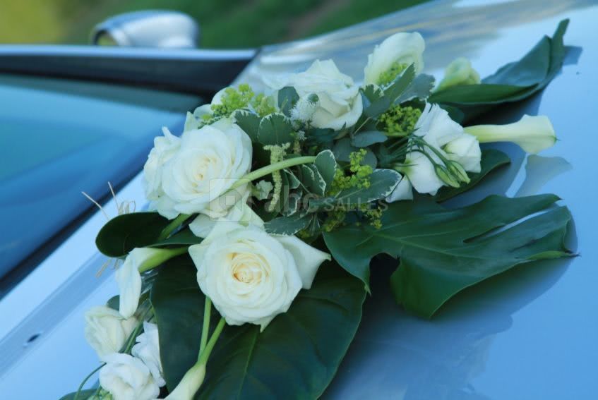 Domaine de la Traxene