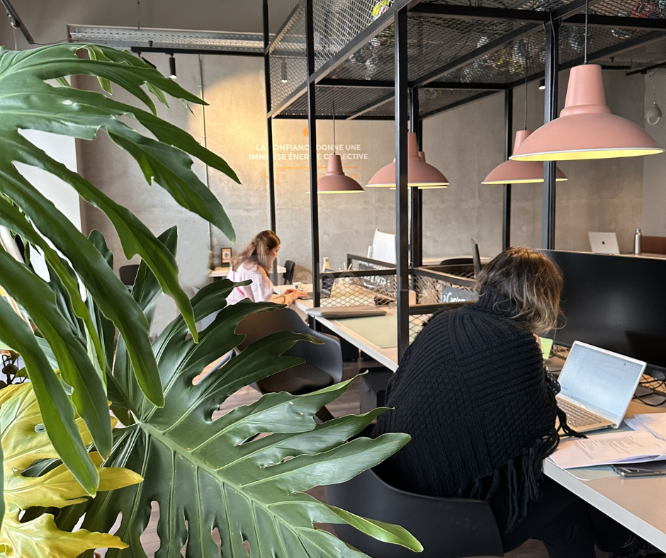 Espace coworking - Centre d'affaire