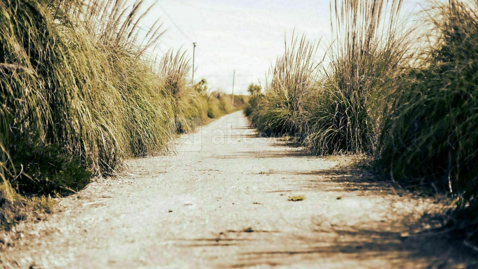 Chemin d'arrivée