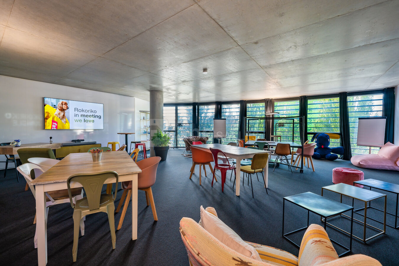 Rokoriko Jungle - salle de réunion Lyon - espace principal