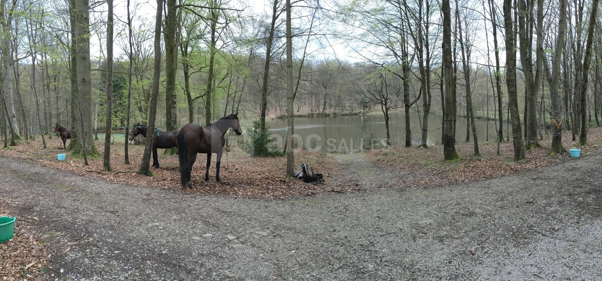 Domaine du Pavillon de Gouffern