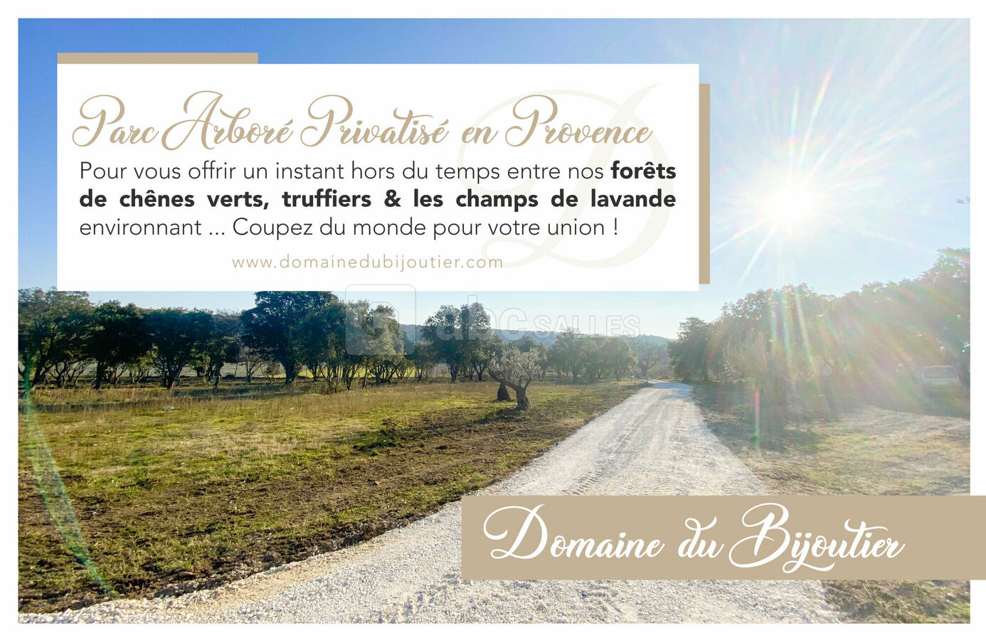 Un aperçu de notre parc arboré