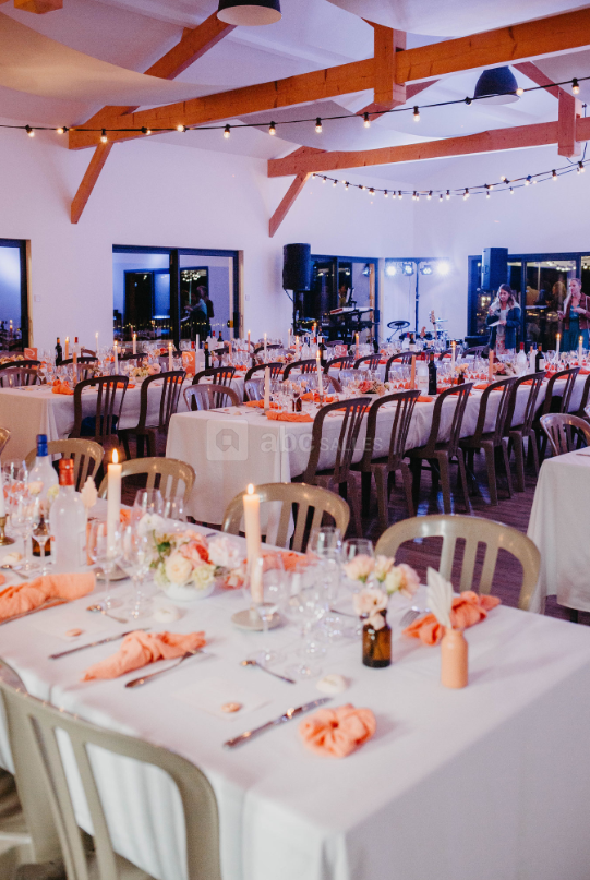 Salle La Salamandre - Mariage
