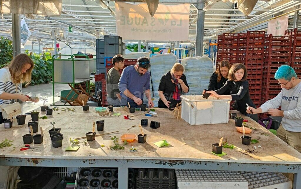 Atelier teambuilding