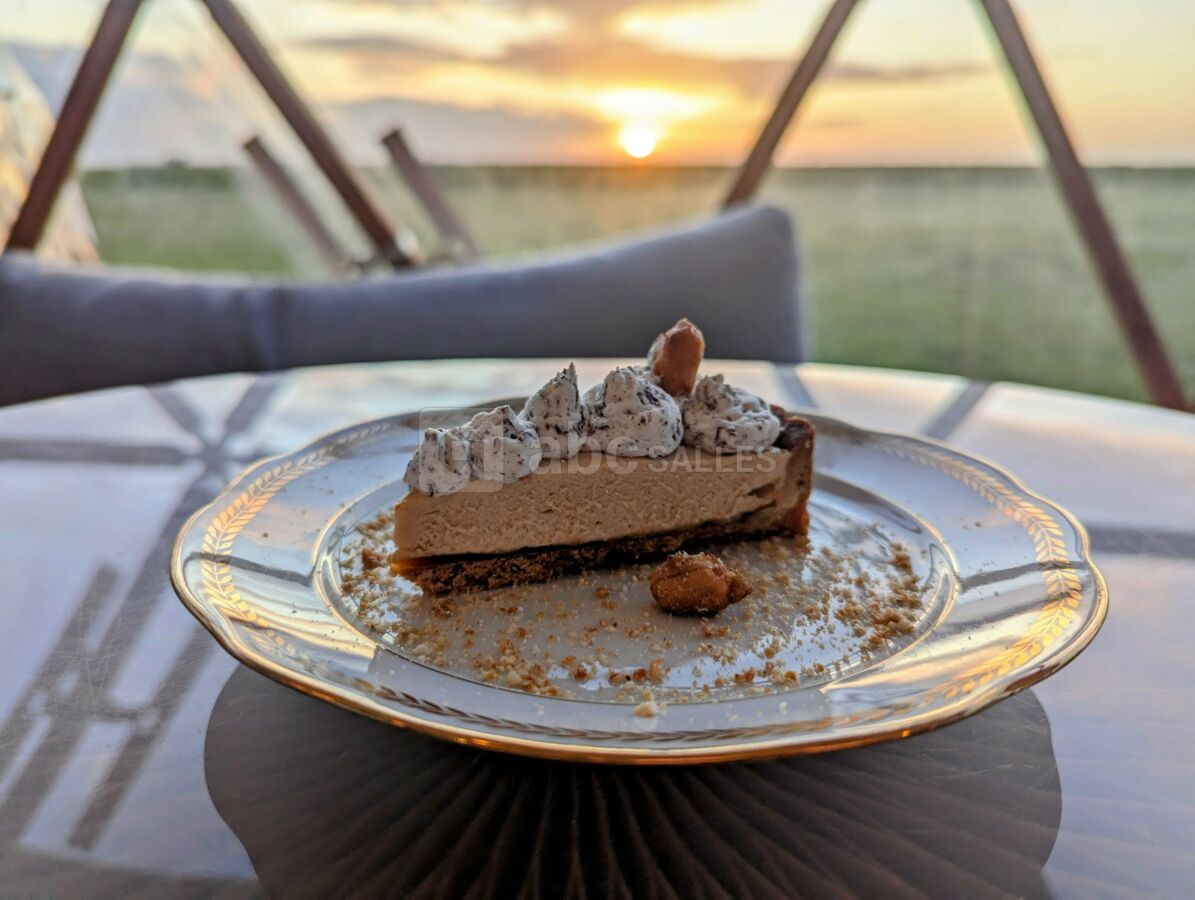 Dessert tarte glacée à la cacahuète