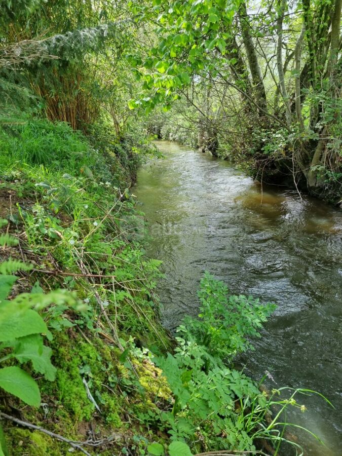 Rivière au domaine les couettes