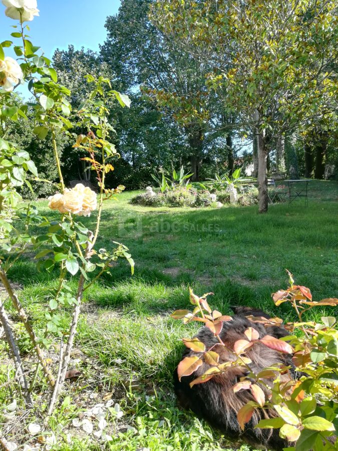 Vue arrière . Jardin