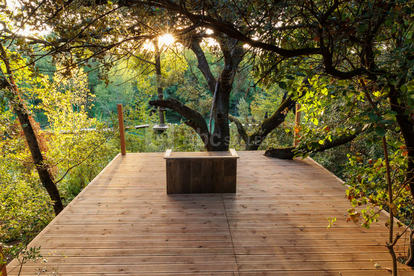 Terrasse avec vue sur forêt et Vidourle