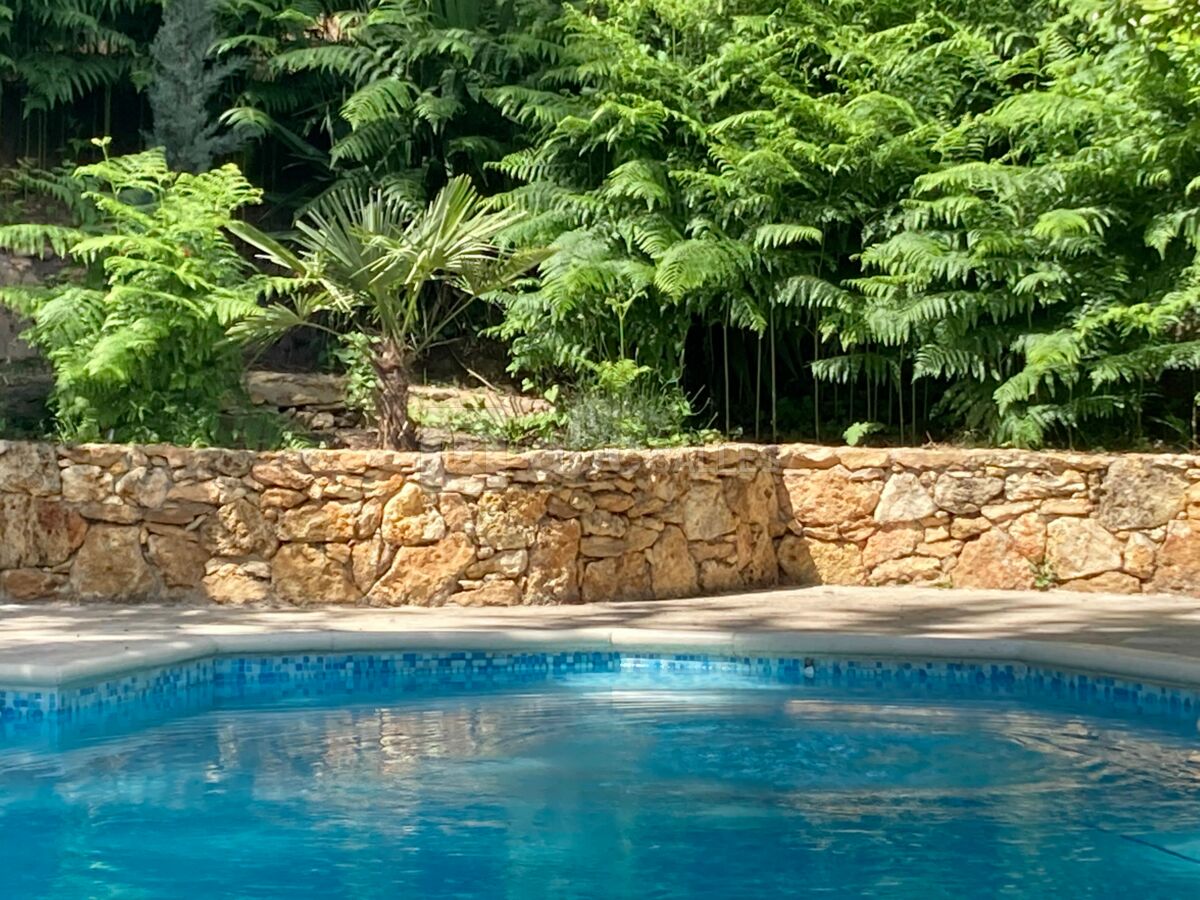 La piscine en été