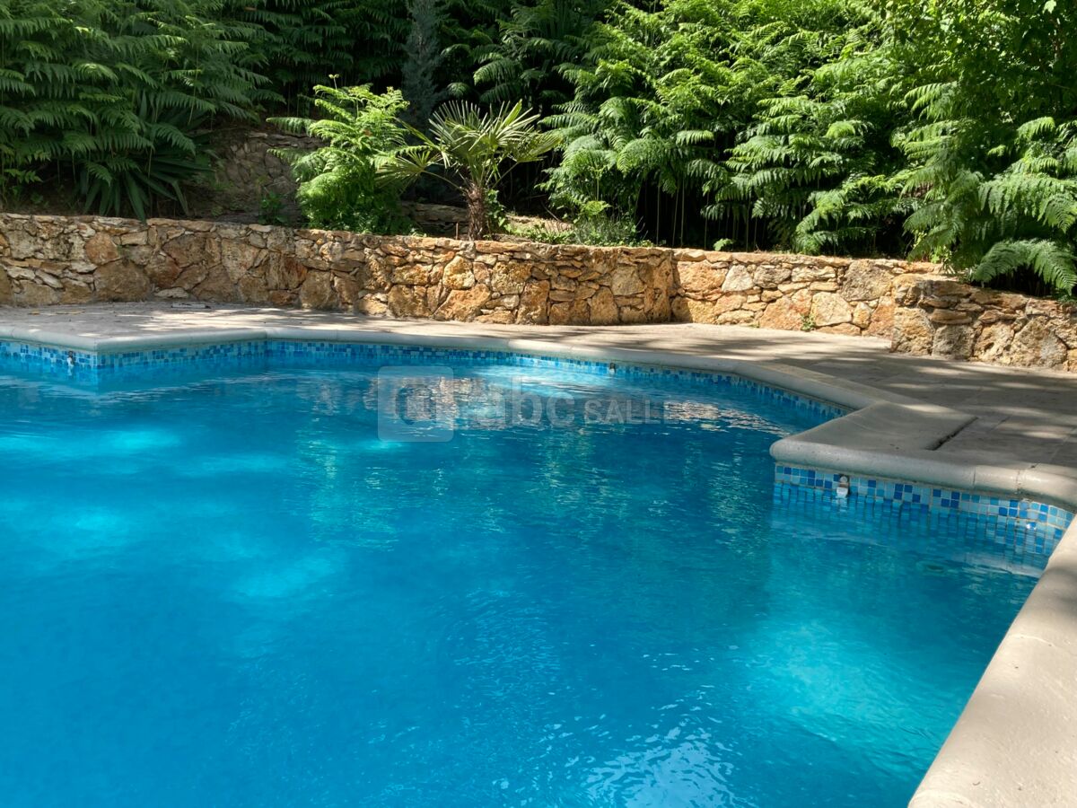 La piscine en été
