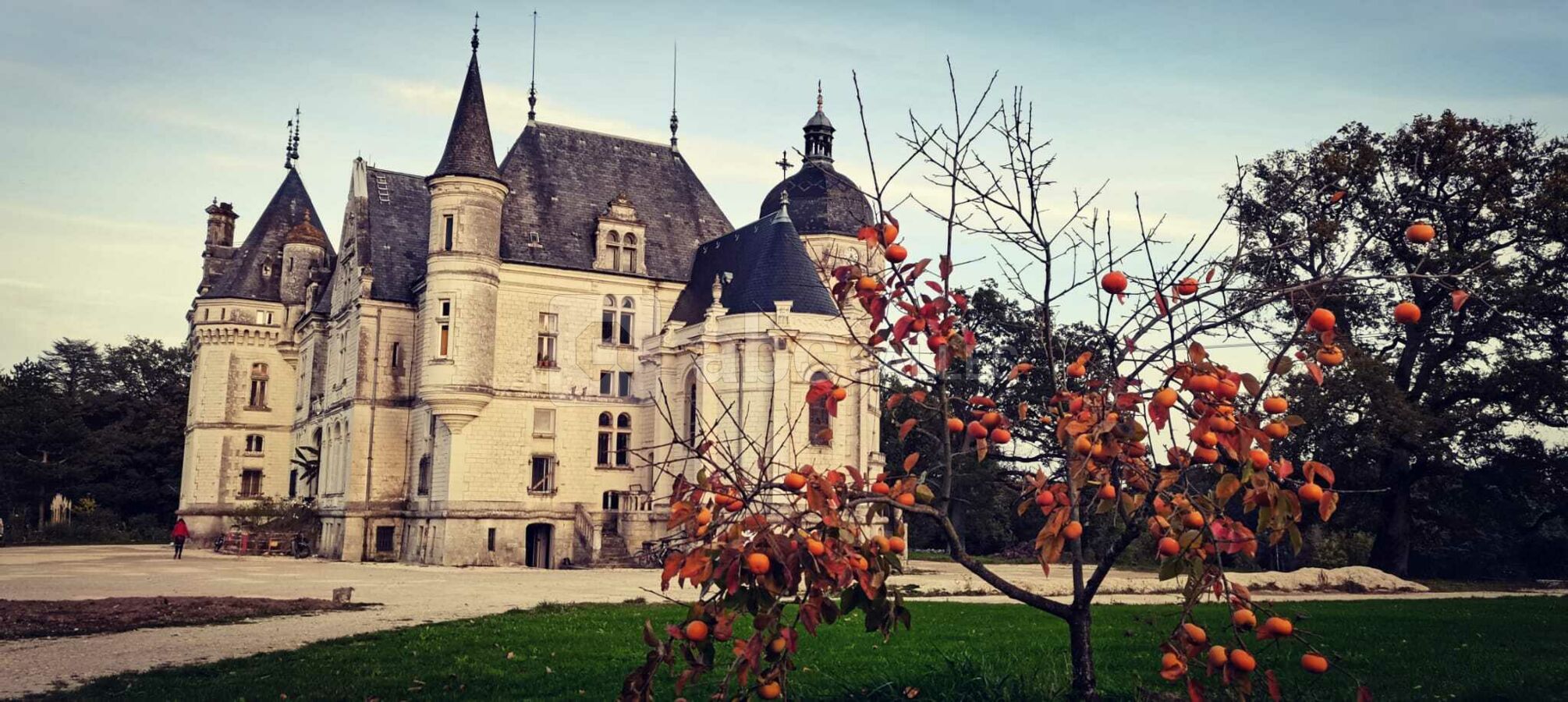 Château