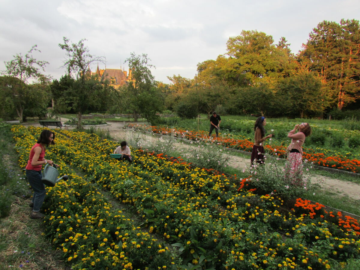 Jardin Floral