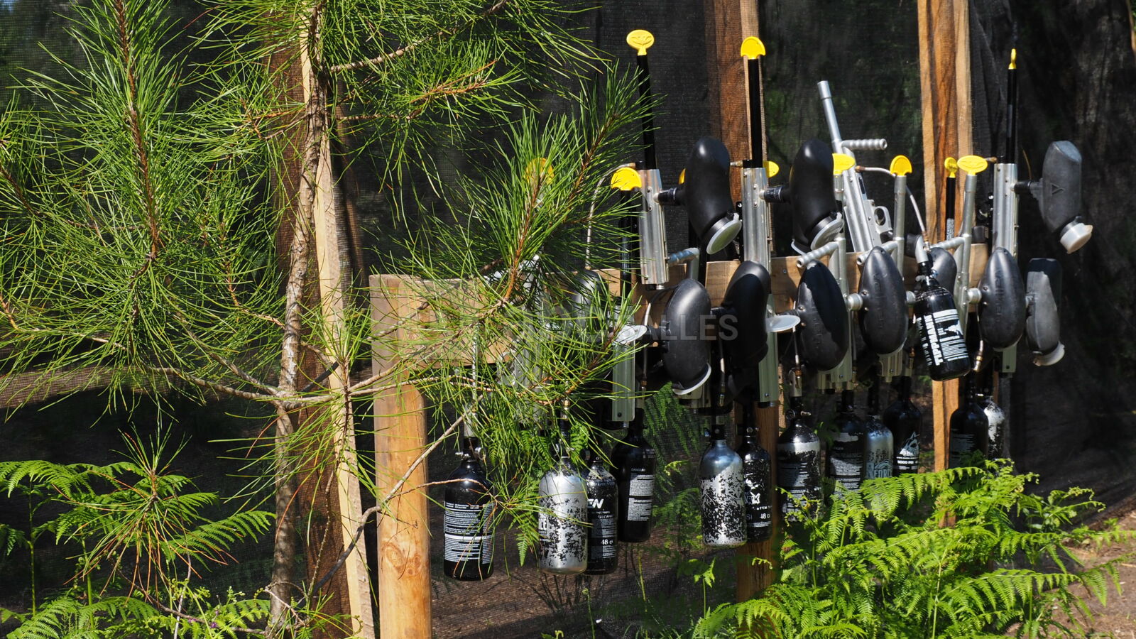Paint ball