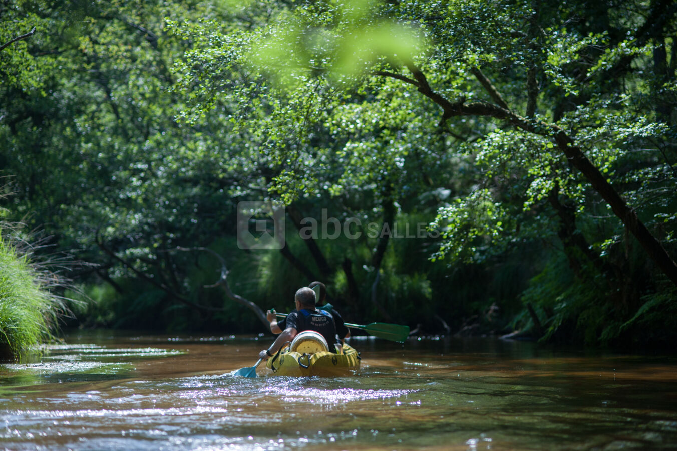 Canoë sur la Leyre