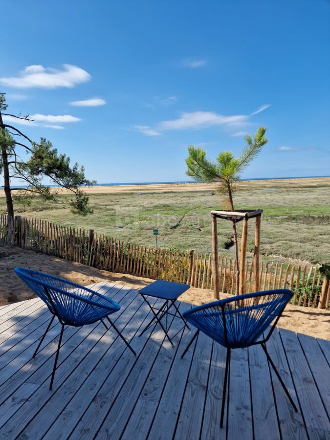 Cottage Cosy - Terrasse