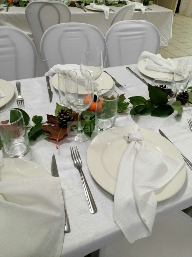 Decoration salle de reception