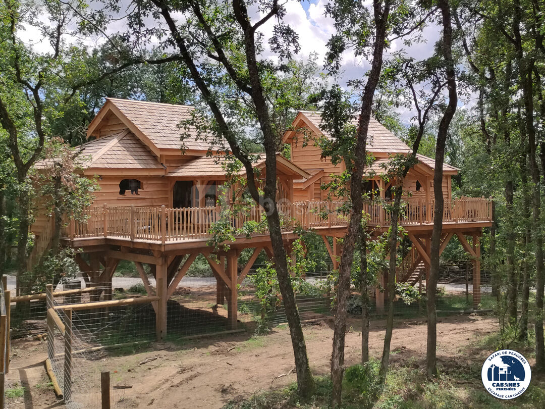 Cabane
