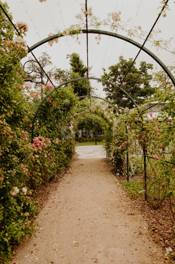 Arche des roses