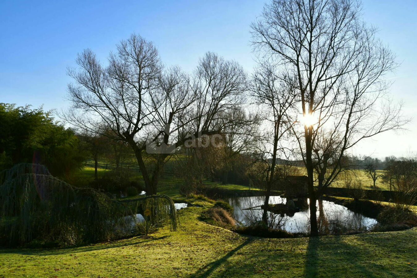Etang