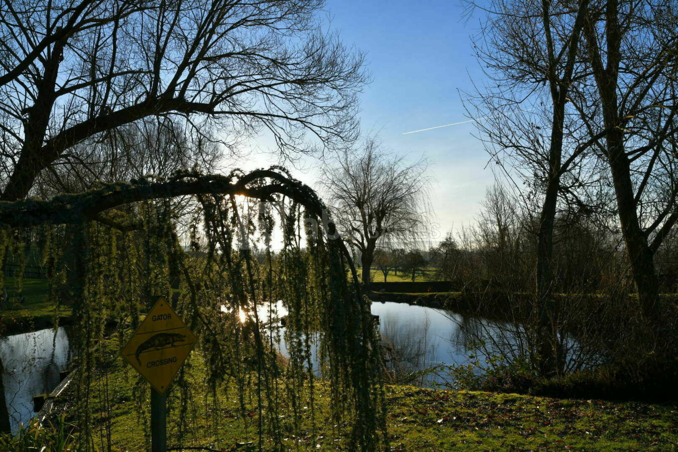 Etang
