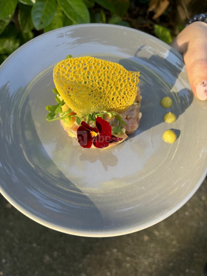 Entrée tartare