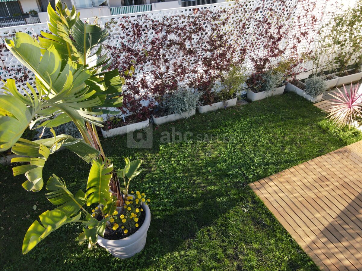 Plantes 1