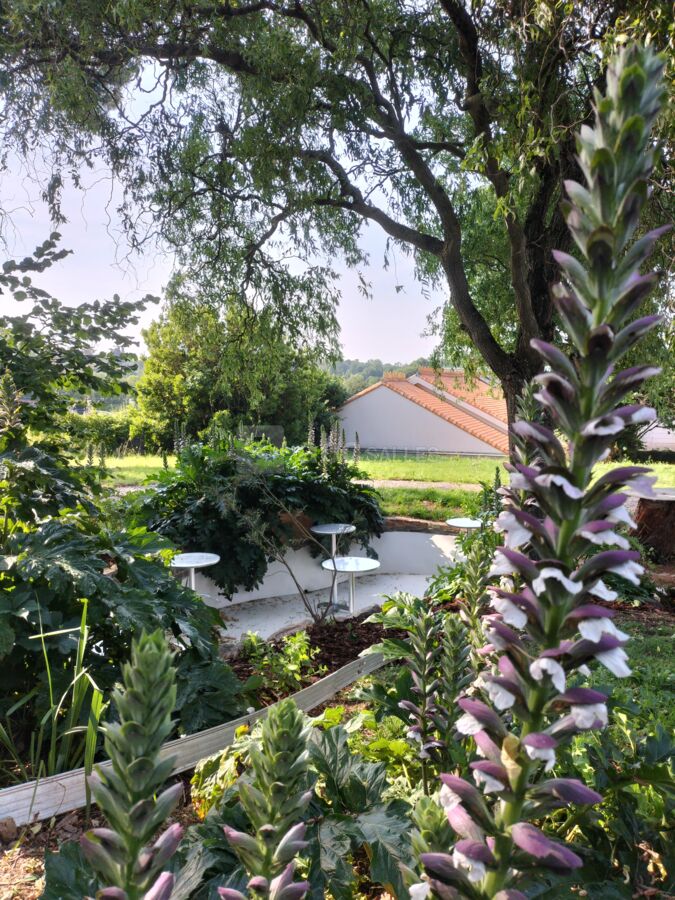 Vue sur une terrasse