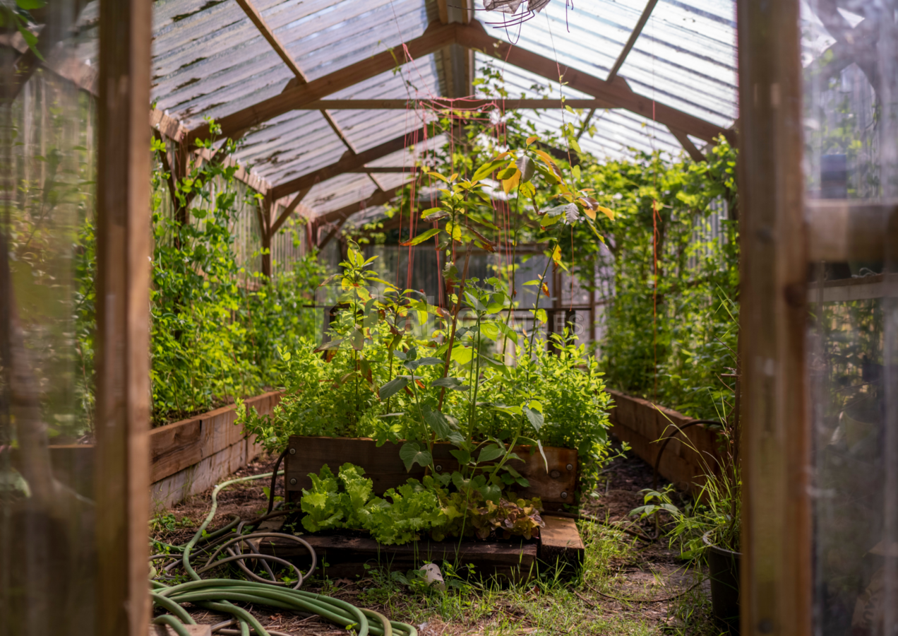 Potager