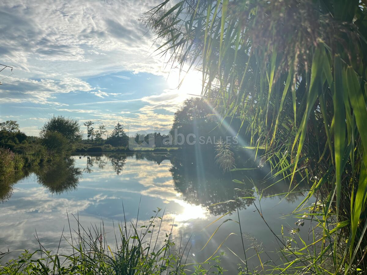 L'etang
