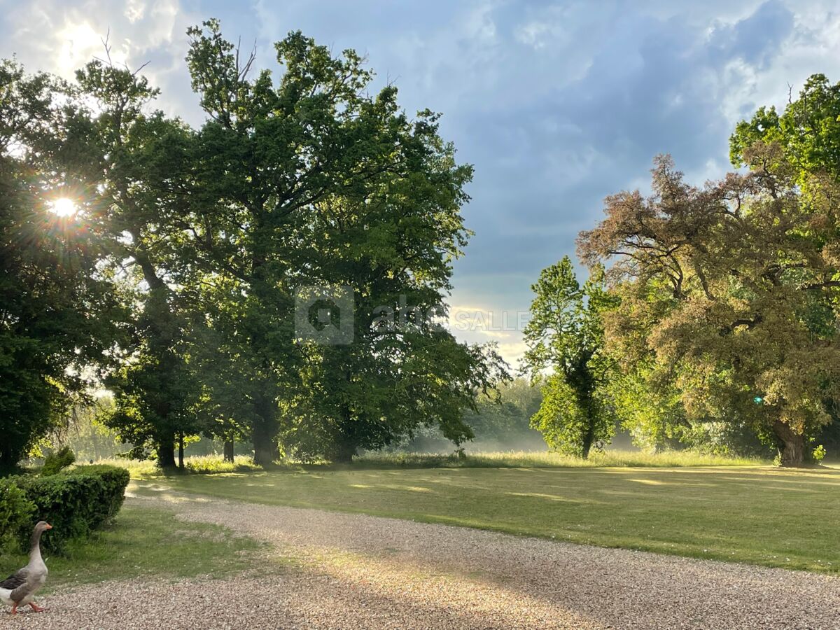 Abords du château