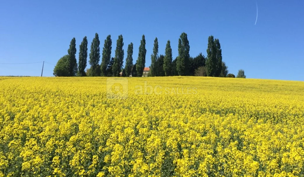 Vue du domaine depuis la route