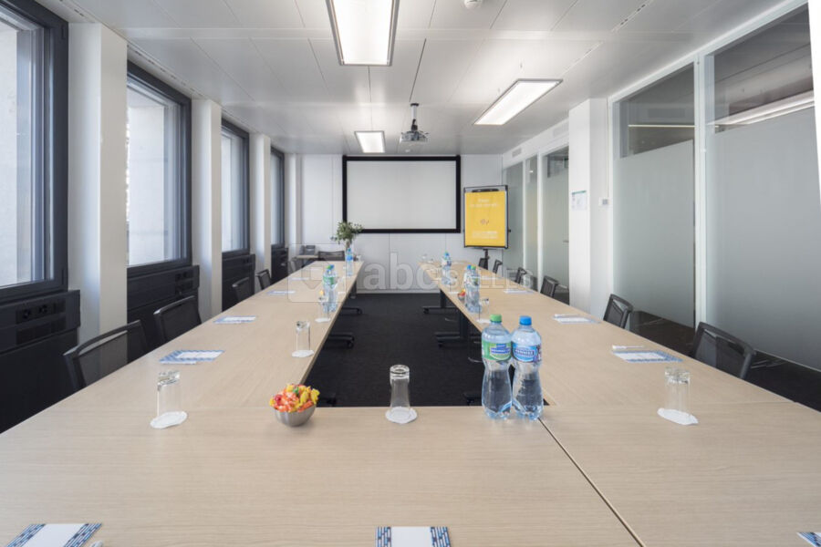 Salle MONT BLANC