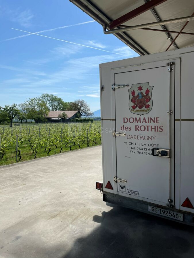 Environnement extérieur, vignes