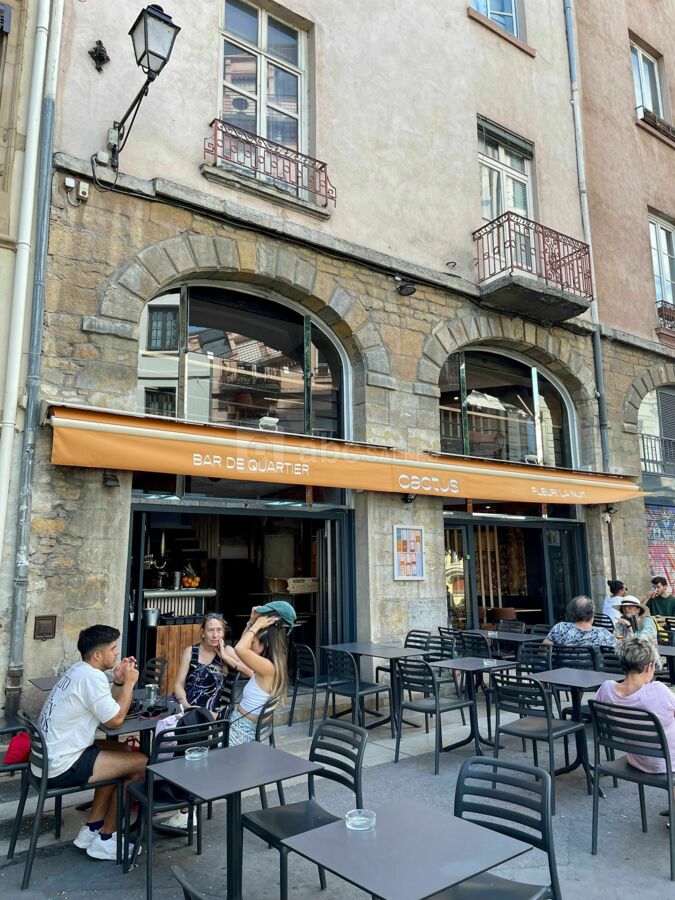Terrasse du Cactus bar