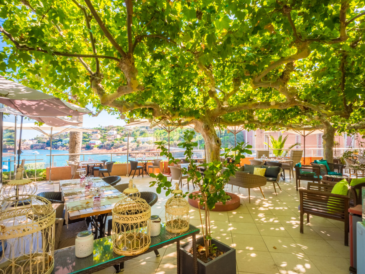 Terrasse vue mer