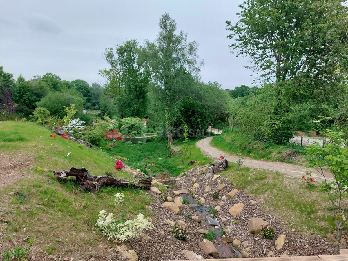 Vue verdoyante sur la vallée