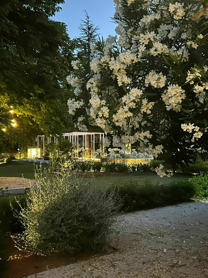 Notre joli parc éclairé de nuit, une toute autre ambiance.