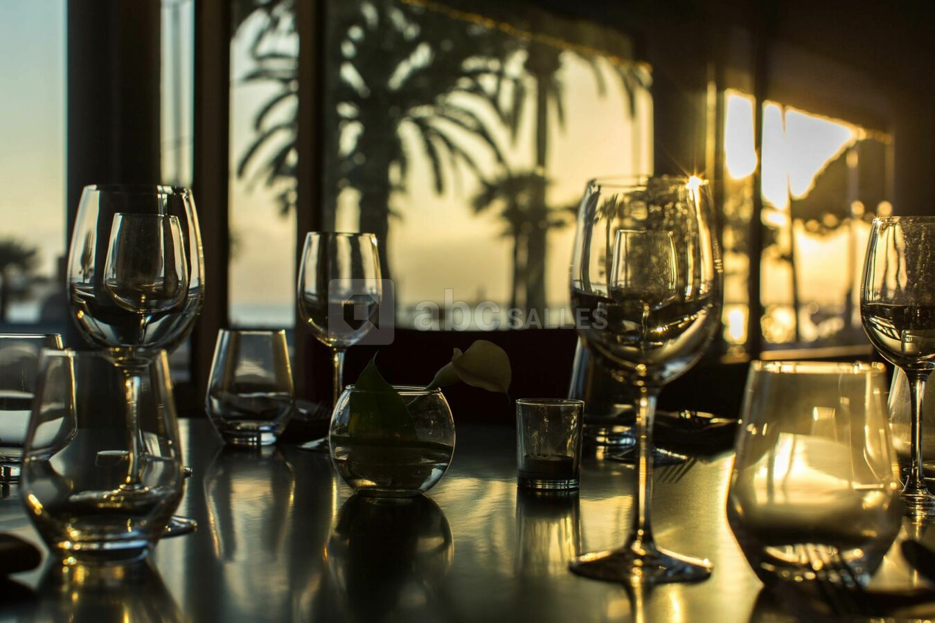 Configuration repas + soirée dansante (équipée en son & lumières)