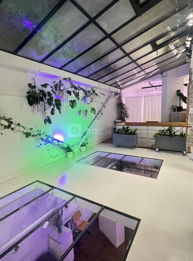Loft sous verrière