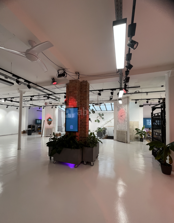 Loft sous verrière
