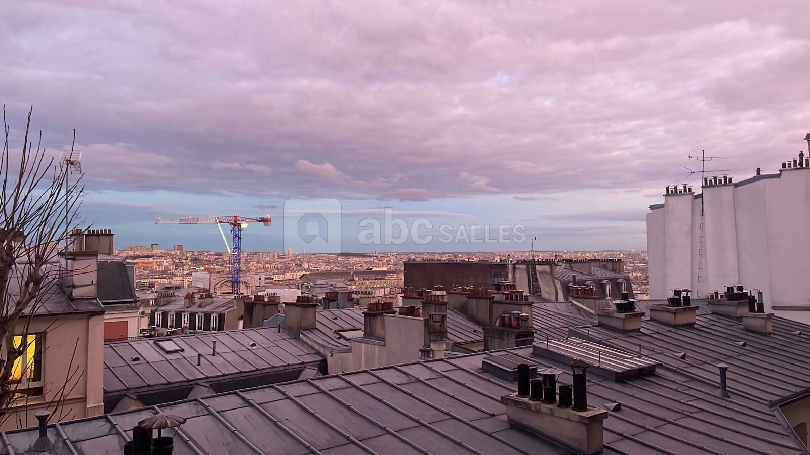Vue Panoramique sur les toits de Paris
