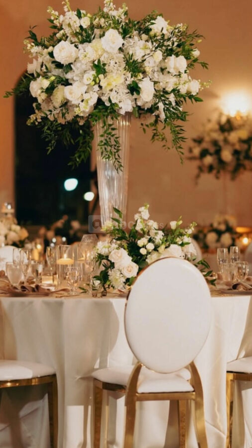 Le Domaine de Camélia