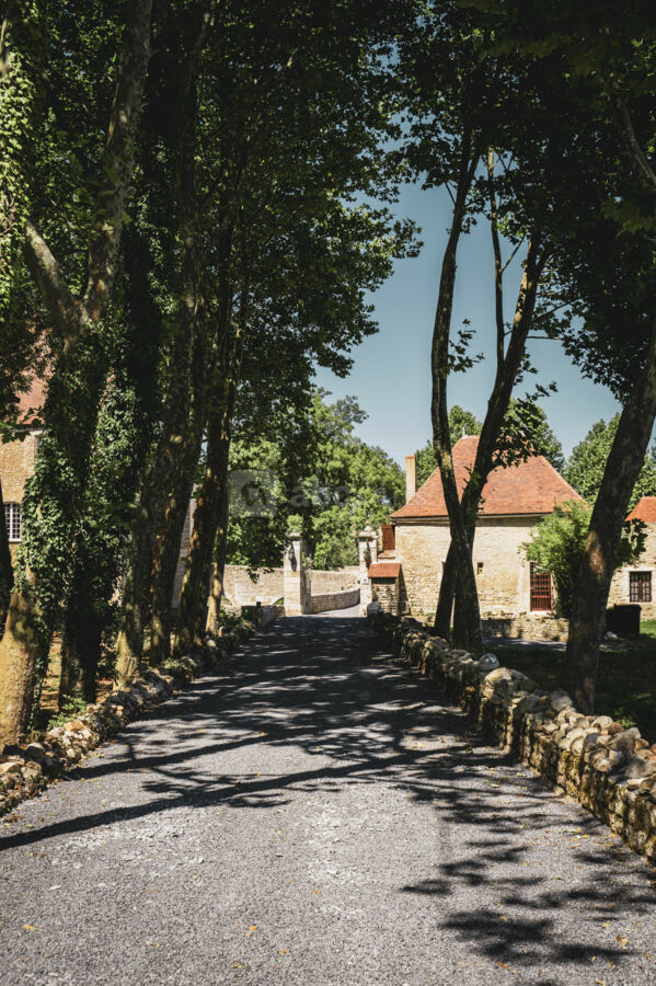 Allée principale