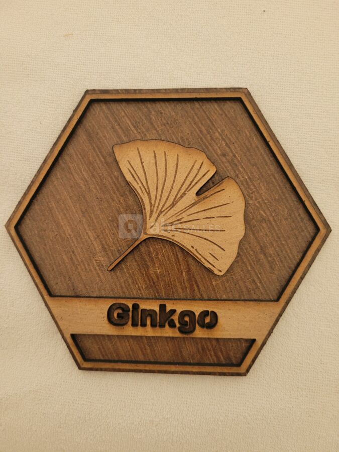 Domaine de la Bachellerie