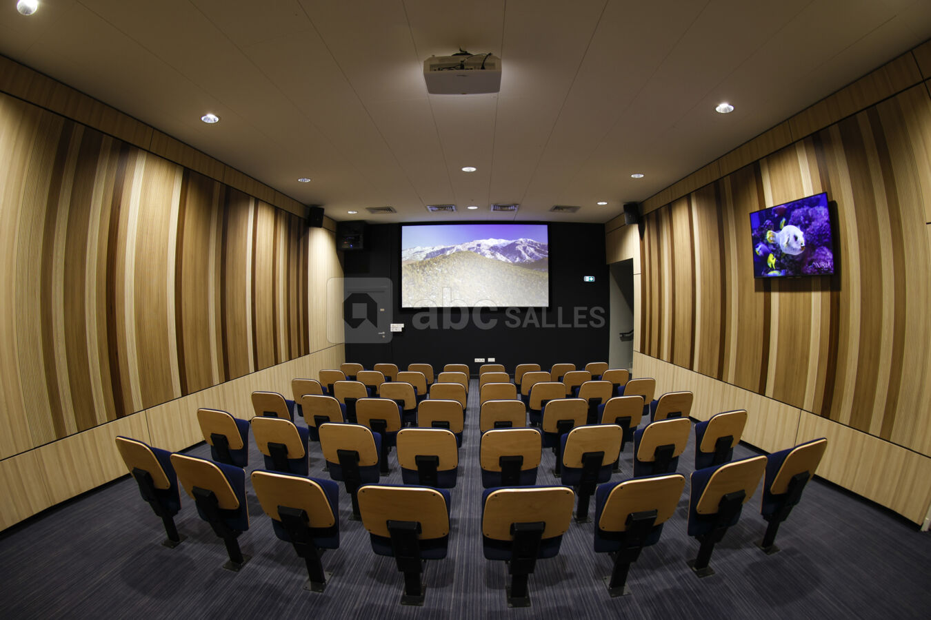 Salle de projection